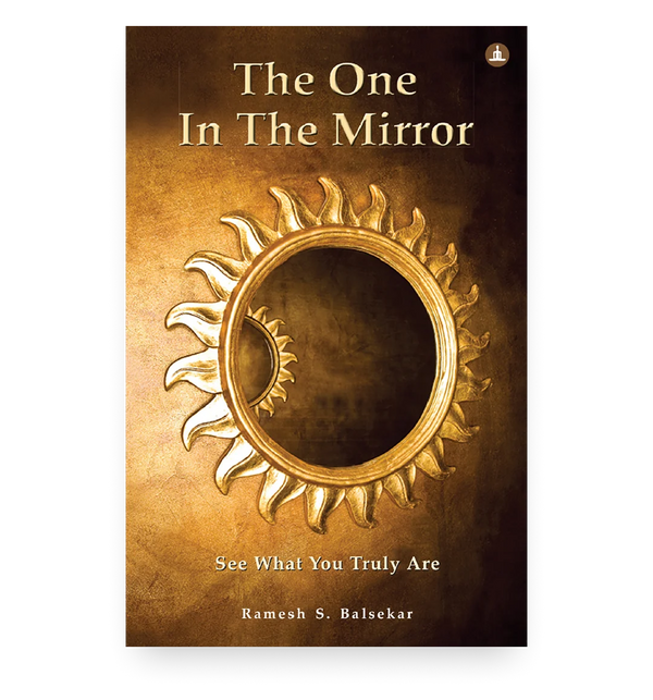 The One In The Mirror