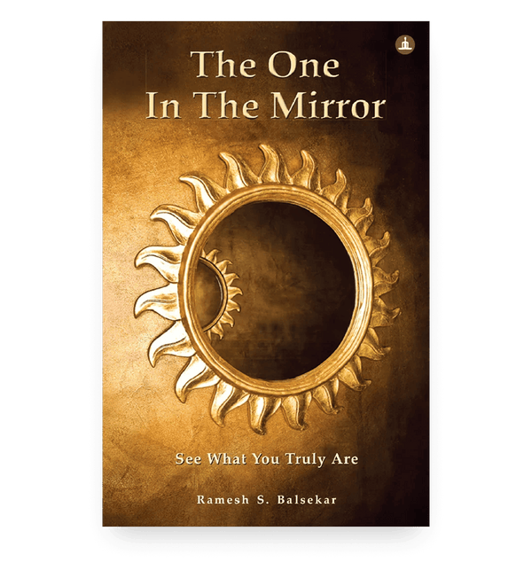 The One In The Mirror