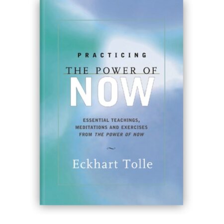 Practicing The Power Of Now Book